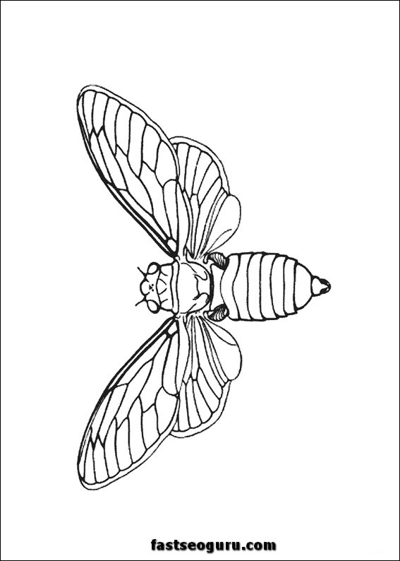 Bie insect kids coloring pages 